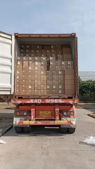 Filre HS Clearcoat Varniz A acrílico Carretera Pulverización Propina de pintura Auto Propiedad de nivelación Propiedad de pintura CAR PINTURA RECINIS